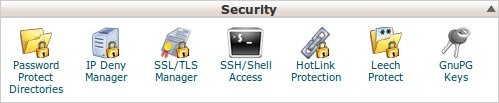 SSH shell access