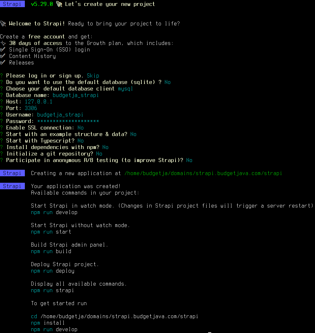 NPX create-strapi output