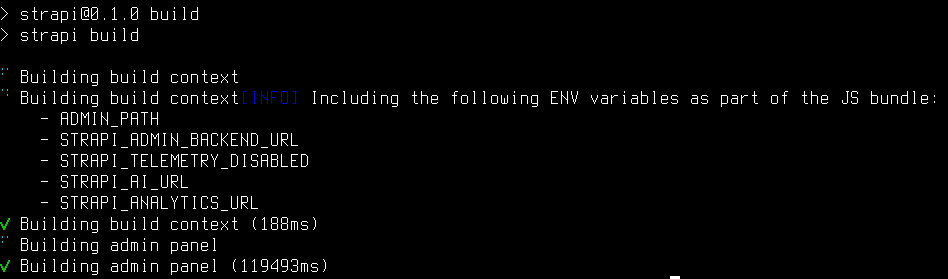 NPM run build output